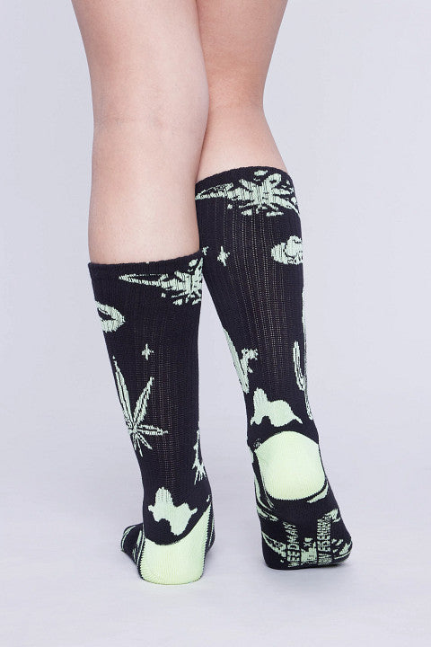 Robin Socks